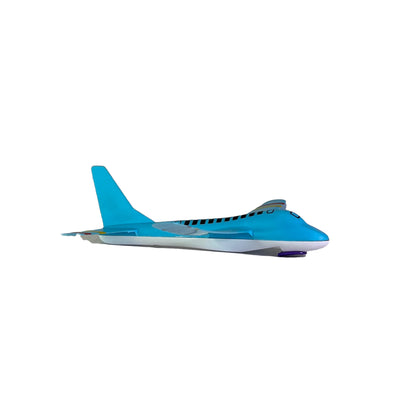 Park Flyer