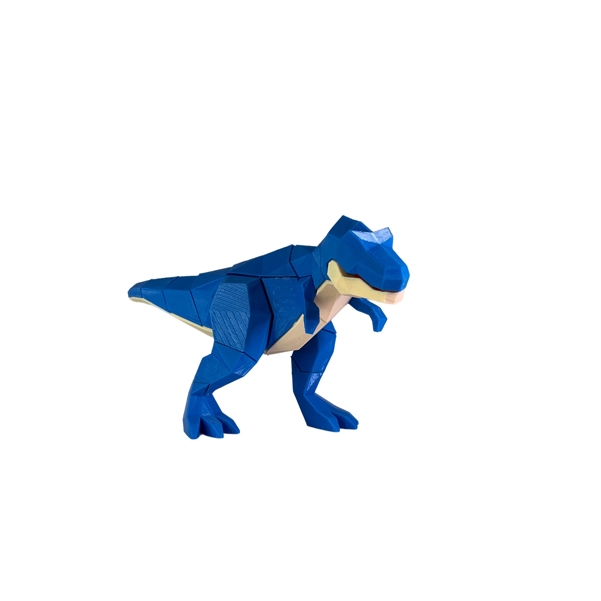 Magnetic Dinosour Puzzle