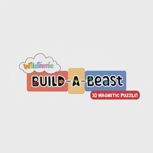 3D Magnetic Panda Puzzle - Trending Toy For Kids & Adults